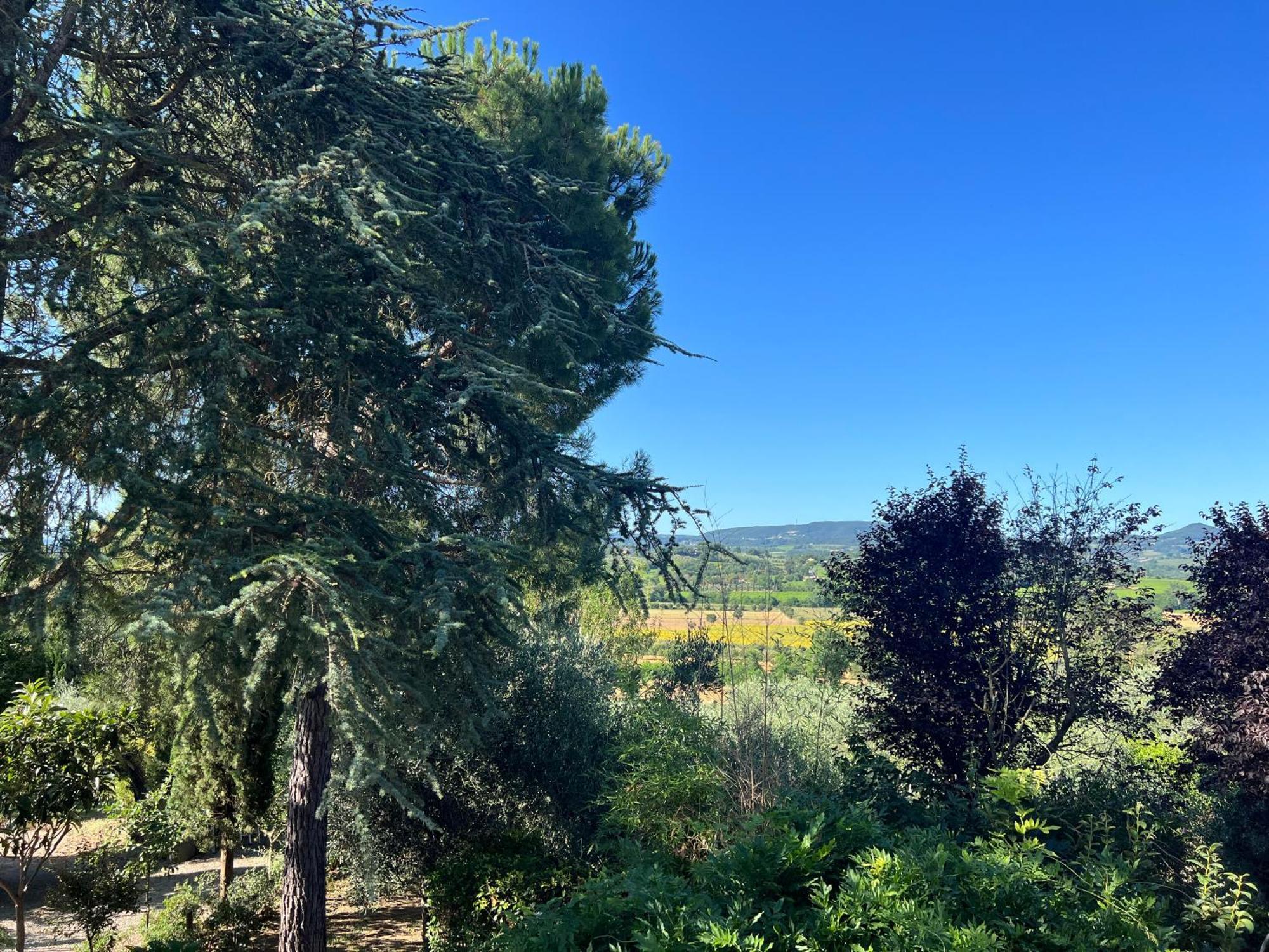 Casa Isidora Lägenhet Acquaviva  Exteriör bild